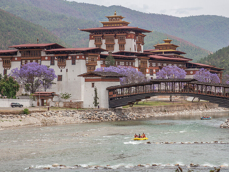 Anniversary Renewal Journey