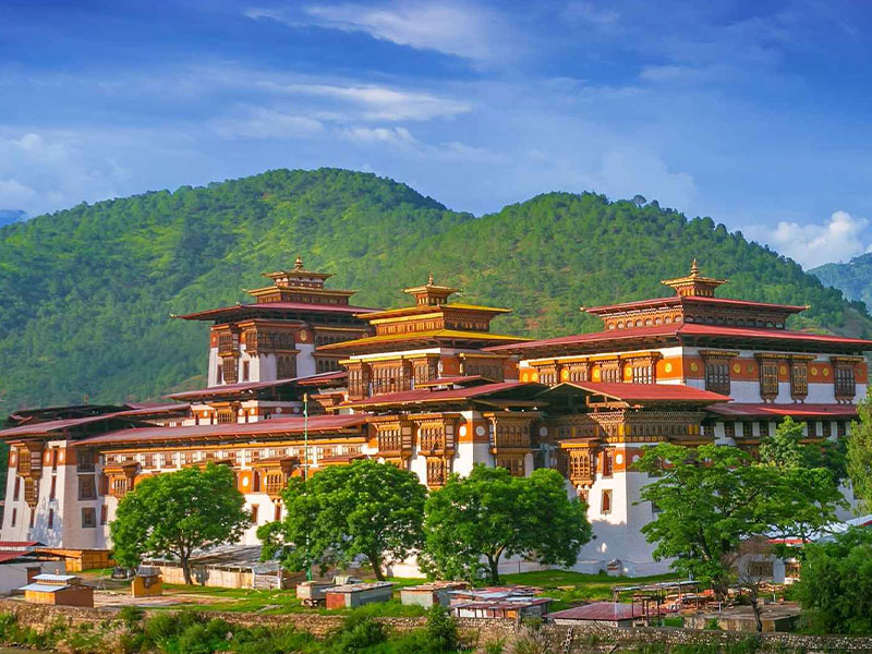 Marriage Celebration Journey