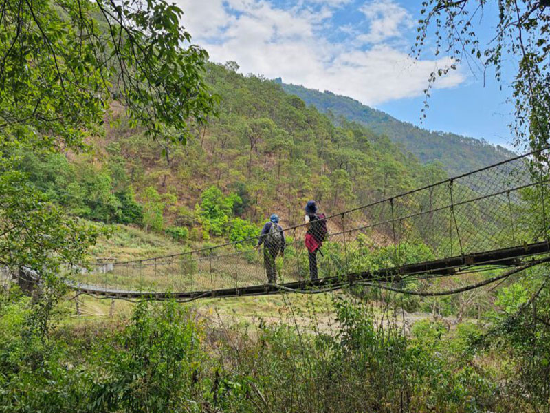 Marriage Celebration Journey