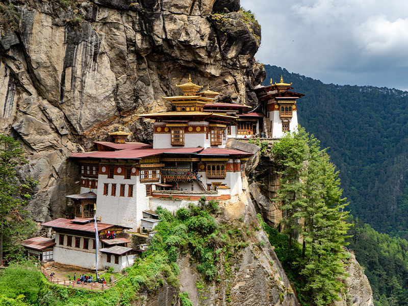 Serene Honeymoon Journey