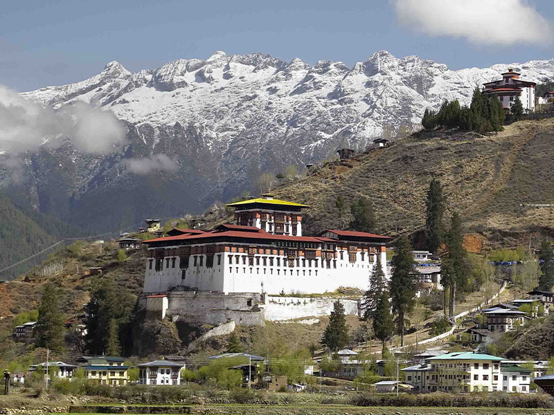 Serene Honeymoon Journey